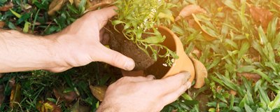 Symposium on Fertilizers